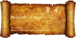 Molcsán Apor névjegykártya